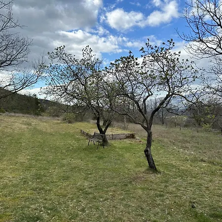 A Louer Dans Ou Location Maison Entiere Montjoux